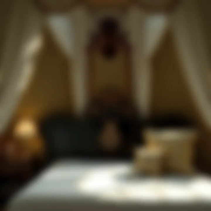 Magnificent Effective Heat Treatment for Bed Bugs: A Comprehensive Guide