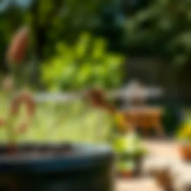 Magnificent Effective Strategies for Treating Your Backyard for Mosquitoes