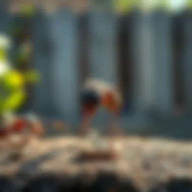 Magnificent No Spill Ant Kill Reviews: A Comprehensive Exploration