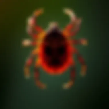 Magnificent Talstar Tick Spray: An Effective Solution for Tick Management Magnificent Talstar Tick Spray: An Effective Solution for Tick Management