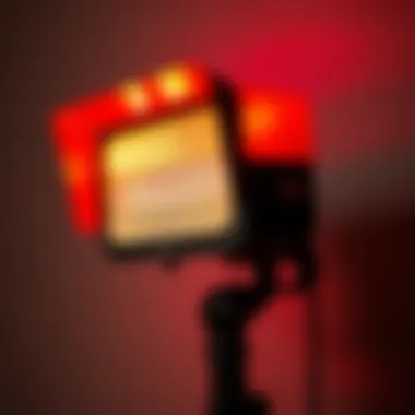 Magnificent The Evictor Strobe Light: A Comprehensive Examination
