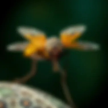 A Comprehensive Guide to Mosquitonix in Austin Summary A Comprehensive Guide to Mosquitonix in Austin Summary