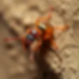 Advanced Termite Control: Strategies and Insights Introduction