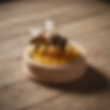 Various eco-friendly ground bee killer products displayed on a wooden table