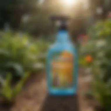 Applying Natural Repellents in the Garden Spray bottle in garden setting to demonstrate application methods.
