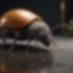 Innovative Pest Control Technology
