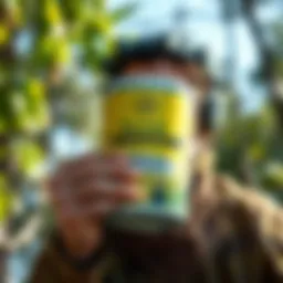 Bayer Termite Medicine: An In-depth Exploration Introduction