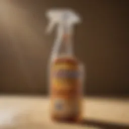 A close-up of a termite spray bottle with clear labeling