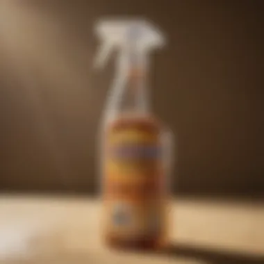 A close-up of a termite spray bottle with clear labeling