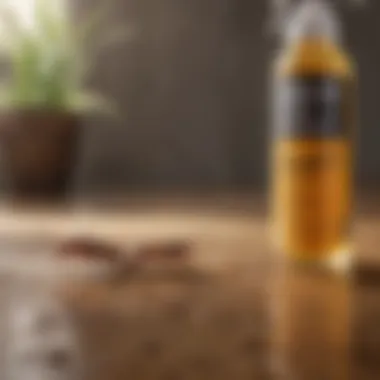 Eco-Friendly Ingredients in Termite Sprays Graphic representation of eco-friendly termite spray ingredients