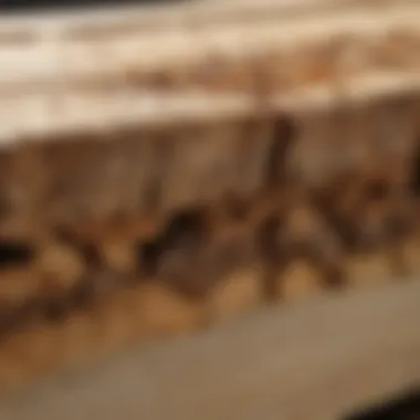 Close-up view of termite damage on wooden beams