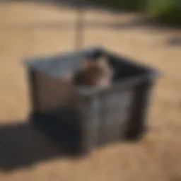 Illustration of a bucket trap design