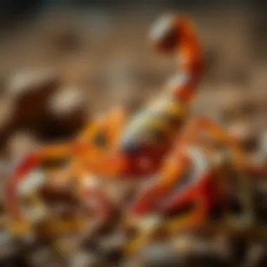 Chemical structure of a scorpion-targeting agent