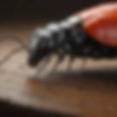 Chemical vs Eco-Friendly Pest Control Comparison chart of chemical versus eco-friendly pest control methods.