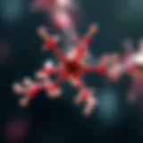 Bifenthrin molecular structure