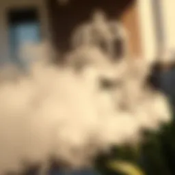 Comprehensive Analysis of the Talstar Mosquito Fogger Introduction