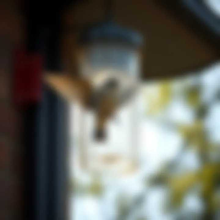 An innovative bird control device designed to deter birds without causing harm, demonstrating humane technology.