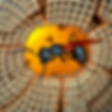 Notable Comprehensive Guide to Carpenter Ant Inspection