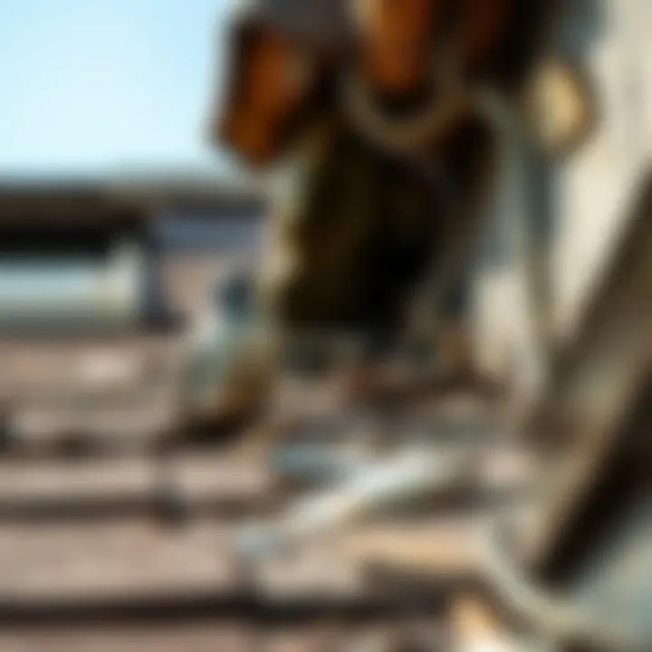 Damage caused by bird droppings