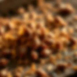 Detailed view of rodent droppings indicating infestation signs