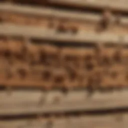 Identification of termite damage in wooden structures
