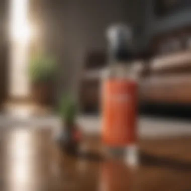 DIY Flea Spray in Action A natural DIY flea spray being applied in a living room
