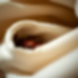 Bed bugs hidden within fabric folds