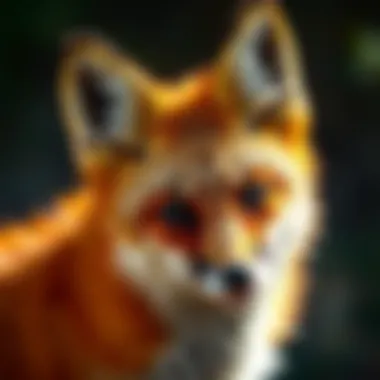 Humane Fox Relocation Techniques Humane fox relocation techniques