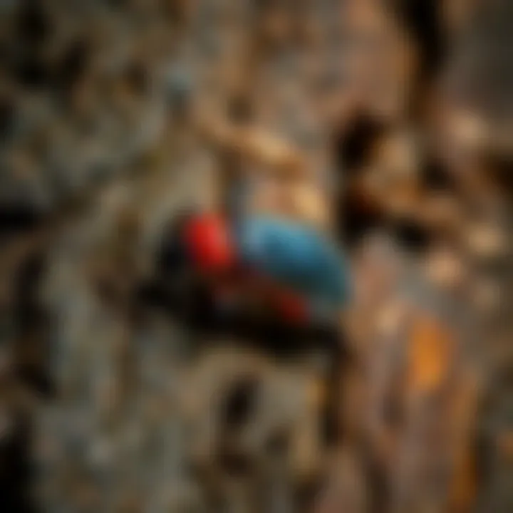 Close-up of bark beetle infestation