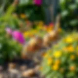 Natural Barriers in Garden A vibrant garden with natural barriers to deter chipmunks