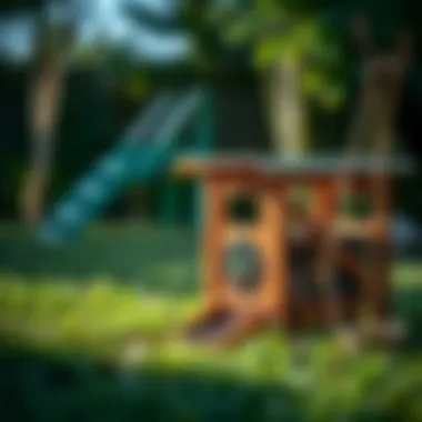 An eco-friendly trap set in a yard for humane rodent control