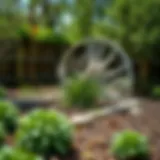 A well-maintained garden with natural barriers against rodents