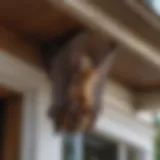 Bats roosting under a porch eave