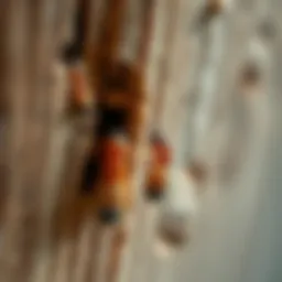 A close-up view of termite damage on wooden structures