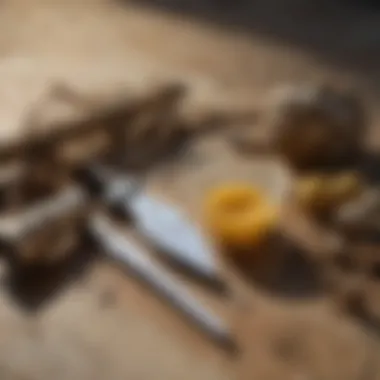 Tools Required for Efficient Wasp Nest Removal Recommended tools for wasp nest removal laid out on a surface