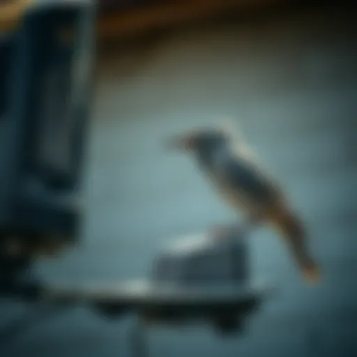 Electronic Devices for Avian Deterrence: Strategies and Solutions Introduction