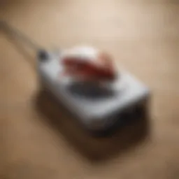 Various plug-in devices for pest control