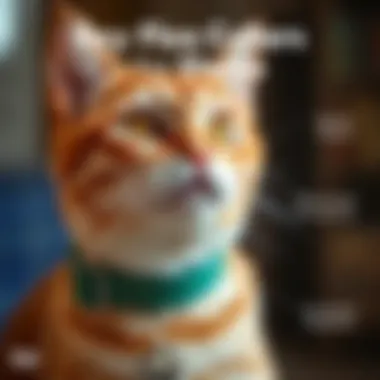 Infographic comparing effectiveness of various flea collars against different flea species