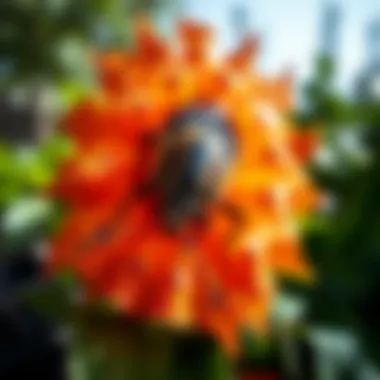 Effective Preventive Measures in Pest Management Preventive Measures for Pest Control