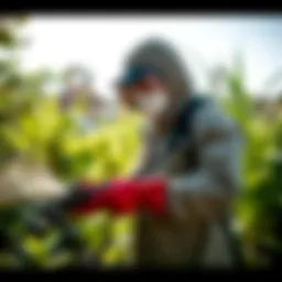A professional exterminator applying eco-friendly pest control methods in a garden