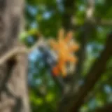 A beautifully crafted woodpecker deterrent device installed on a tree