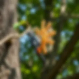 A beautifully crafted woodpecker deterrent device installed on a tree