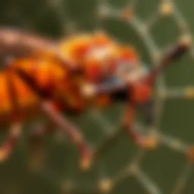 Target pests affected by FastCap