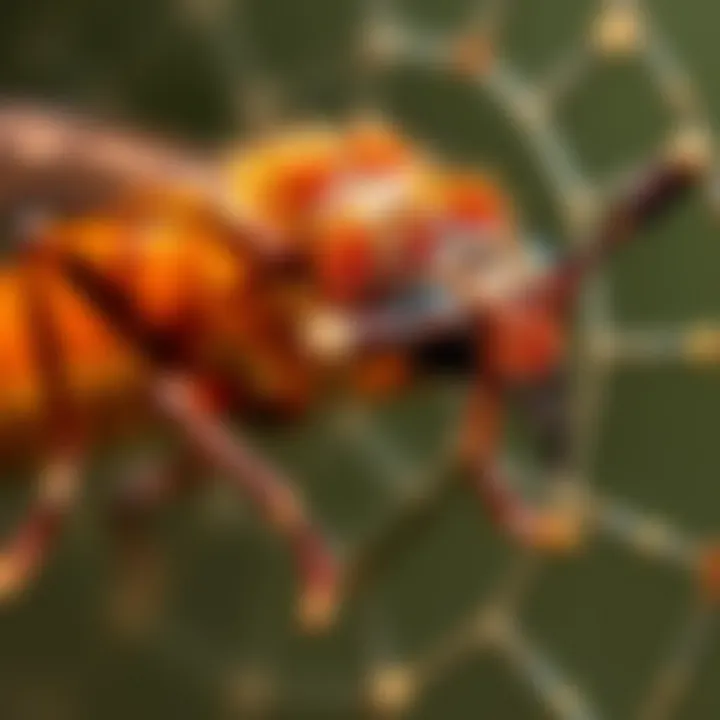 Target pests affected by FastCap