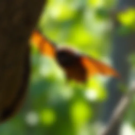 Home Remedies for Keeping Bats Away: Effective Approaches Explored Introduction Home Remedies for Keeping Bats Away: Effective Approaches Explored Introduction