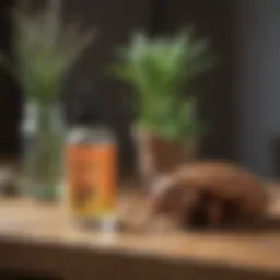A diverse array of natural pest control solutions displayed on a wooden table.