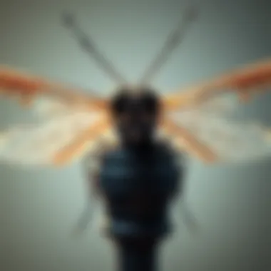 Identifying the Most Effective Flying Insect Killer Summary Identifying the Most Effective Flying Insect Killer Summary