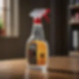 A detailed view of a spray bottle specifically designed for spider control indoors