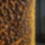 Close-up of a beehive with bees actively working