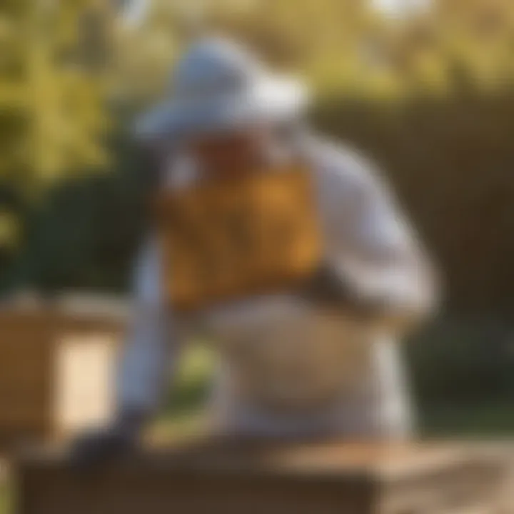 A beekeeper performing hive relocation